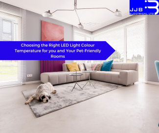 Choosing the Right LED Light Colour Temperature for you and Your Pet-Friendly Rooms